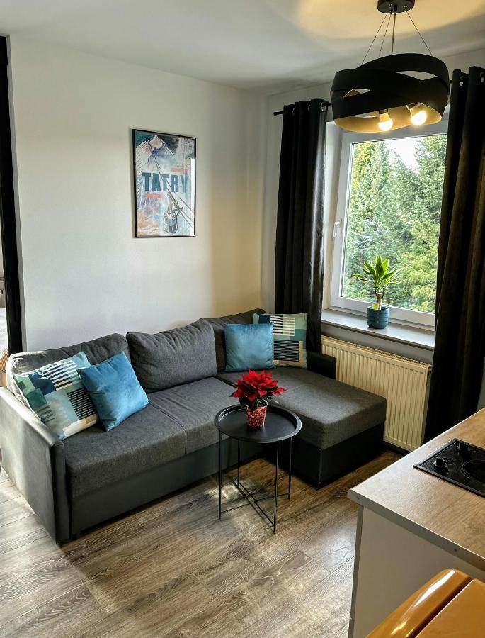 Swarny Zakatek Apartment Zakopane Exterior photo